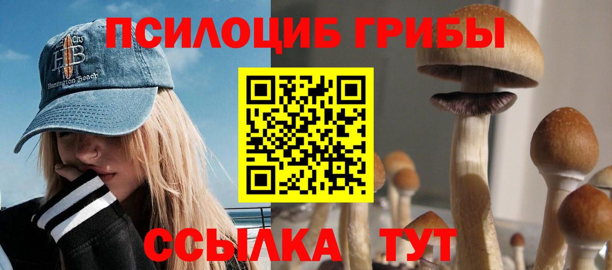 Трёхгорный  Галлюциногенные грибы Cubensis  Вход с VPN 
